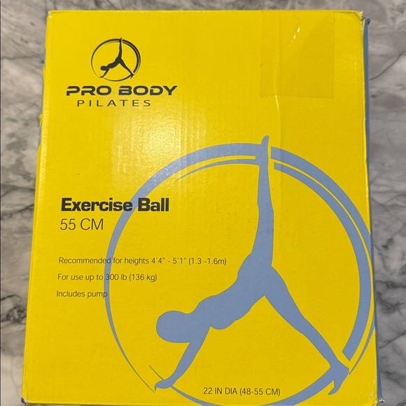 Gray Exercise Ball - Picture 2 of 4